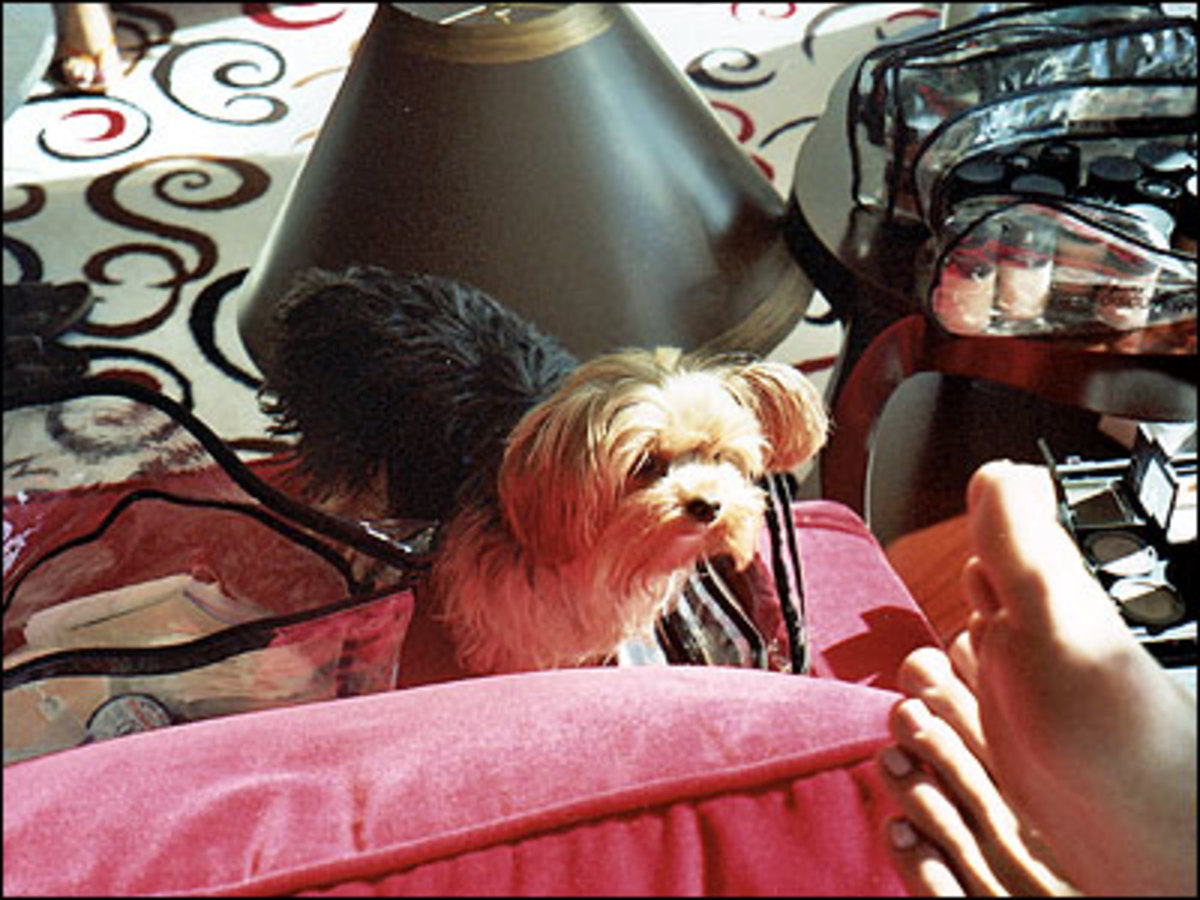 06_vegas_02.jpg